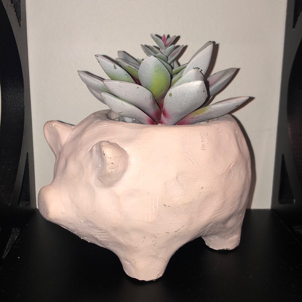 Decorative Pig planter with fake plant